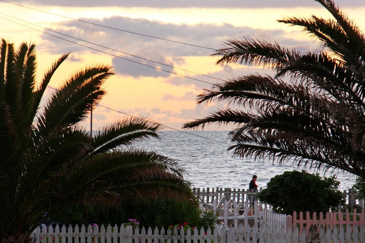 דירות קייפטאון Afribode'S Adenium Beachfront מראה חיצוני תמונה